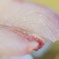DSC00458
