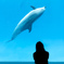 Dolphin　time