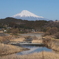 今年も微かに映る