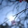 A9A25427-6EF6-4AE7-BDE4-F04082EE632F