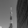 roppongi9