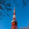 東京タワー