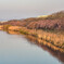 沼川の彼岸桜