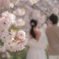 ふたりきりの結婚式