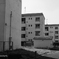 廃団地