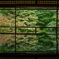 京都　瑠璃光院