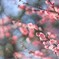 春の風が吹く