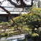 柴又帝釈天