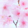 Spring has come5