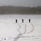 snow hike