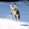 まだまだ 雪あるよ^^