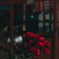 薔薇
