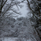 雪