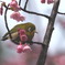 花粉の季節に　1.