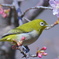 春の日に