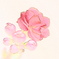 花 （デジタルフィルタ：水彩画）