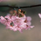 73BD37E1-F084-4F95-A4E9-98D497E58FEA