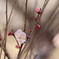 はざま