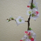 木瓜