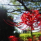 FA19B8FF-73FC-4A61-B4D0-79A828537806