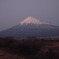 夕方の富士山