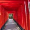 金咲稲荷神社