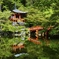 醍醐寺