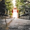 愛宕神社-出世の石段