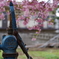 桜の咲く井戸