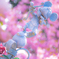 F1958335-7002-4F80-B9AD-A4E559CD702C