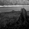 DSC_0021_00001