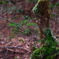 DSC_0168_00001