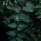 1DF02EB5-58F0-4827-AD46-ED87950A7D82