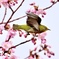 次行きま〜す！