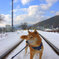 線路は続く・・・・