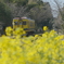 春列車〜5