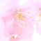 春