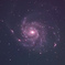 M101