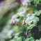 雨上がり