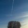 マイルドセブンに飛行機雲