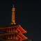 高幡不動尊