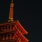 高幡不動尊②