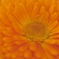 5057ACBA-6A81-474A-B19D-5D1D723B2D36