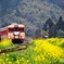 春を走る、いすみ鉄道