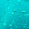 bubbles