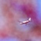 桜と飛行機