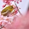 今日も忙しくなりそうだな～
