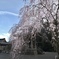 1D931DD3-AB66-43C6-B253-585DC28C0169
