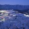 雪の日の雲海夜景②