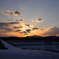 CSC_0305